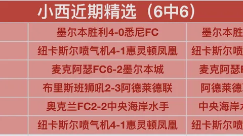 郑钦文备战澳网：倾尽全力，无畏挑战